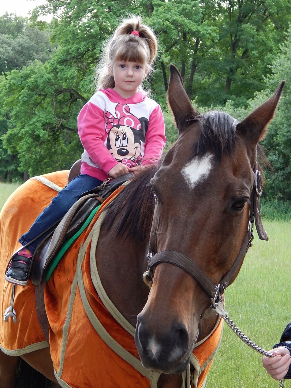 Ein Kind in vollständiger Reitausrüstung mit Helm und Sicherheitsweste sitzt glücklich auf einem Pony.